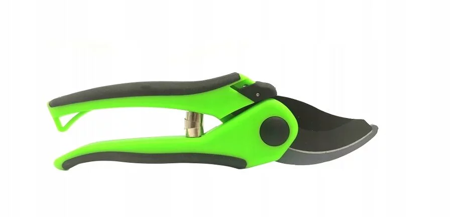 105907945_4