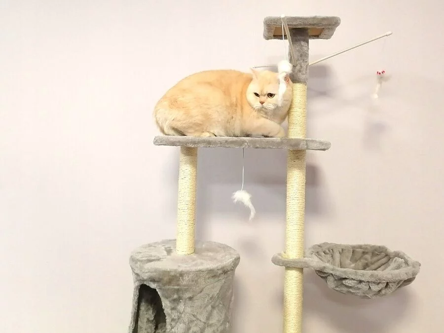 101734592_6